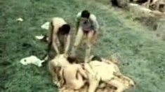 Hardcore group fucking in hot outdoor
